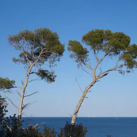 Acces Direct A La * Bormes-les-Mimosas